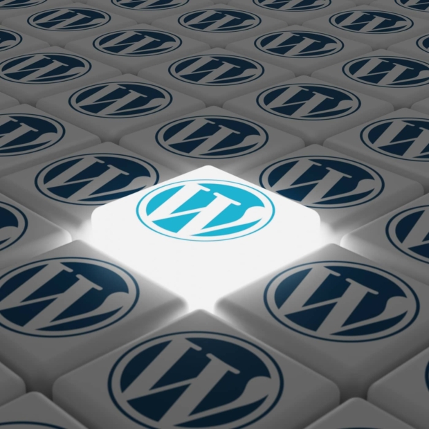 wordpress platform