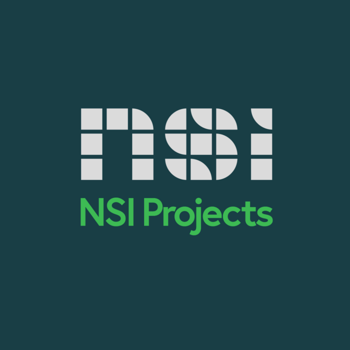 NSI Projects logo